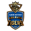 Lux Shyam Kolkata Tigers Womens Flag